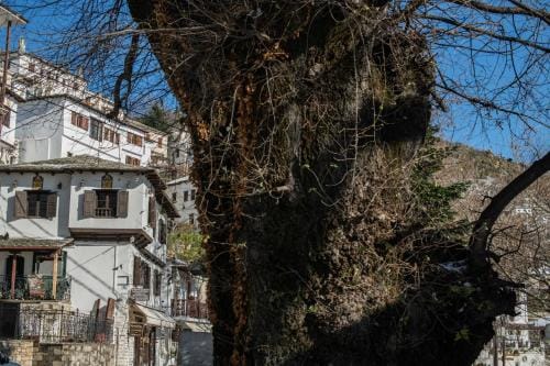 Philos Guesthouse Hotel in Magnesia Prefecture, Greece