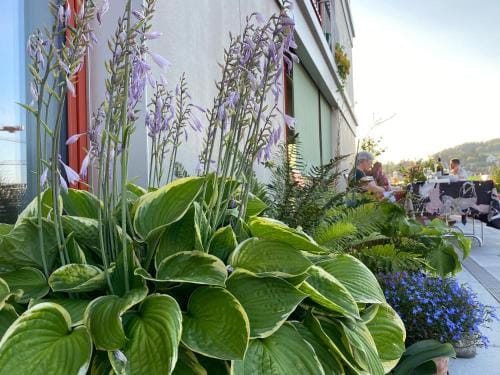 Gastehaus am Lagerplatz Hotel in Winterthur