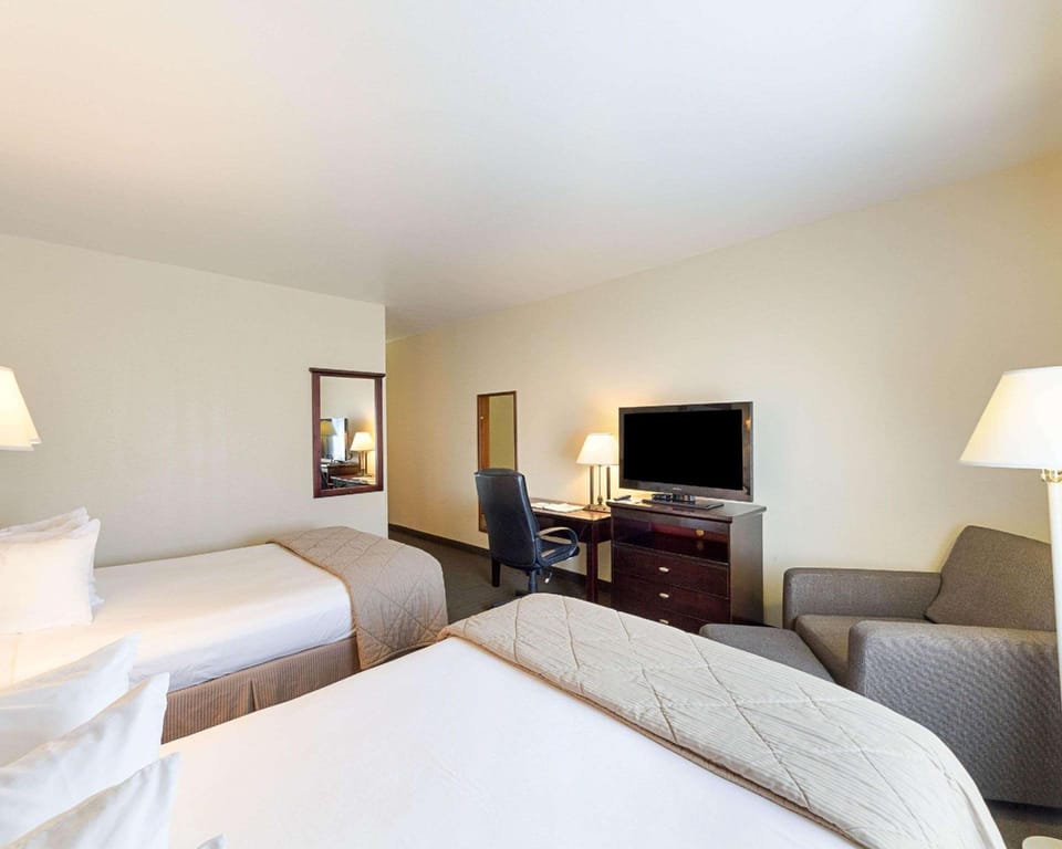 Suite room