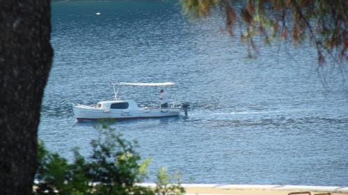 Rooms by the sea Brna, Korcula - 12614 Hotel in Dubrovnik-Neretva County