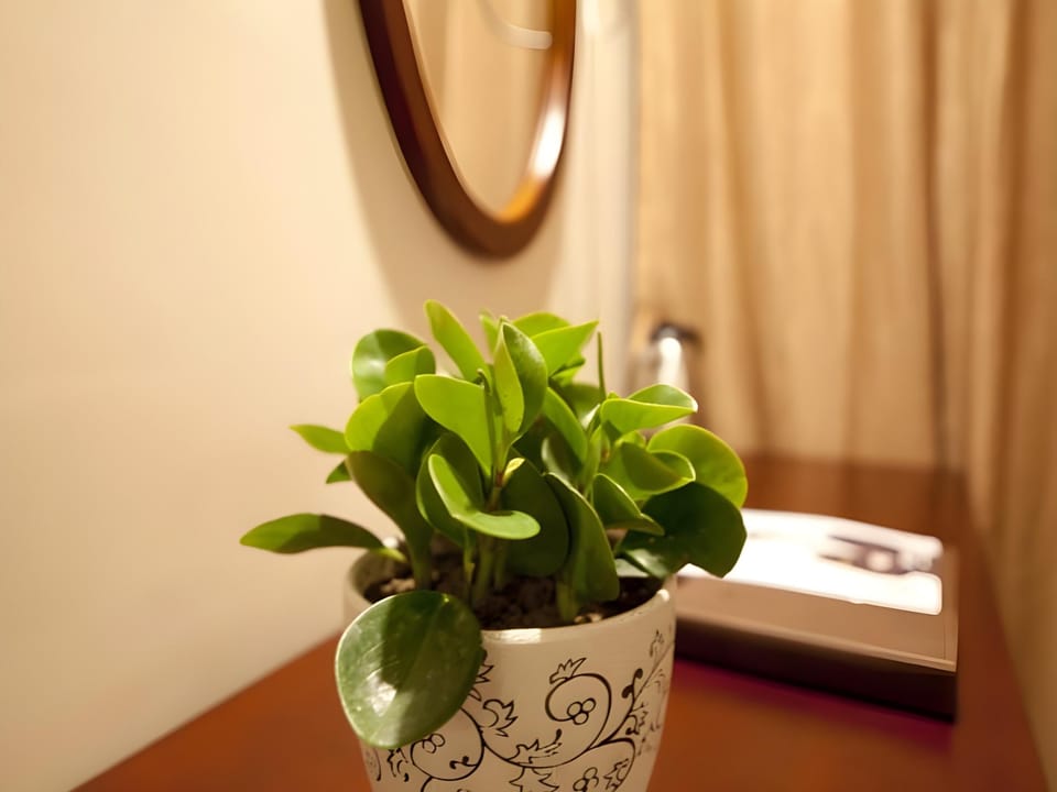GreenTree Inn Xuzhou Xinyi Railway Station Business Hotel Hotel in Jiangsu