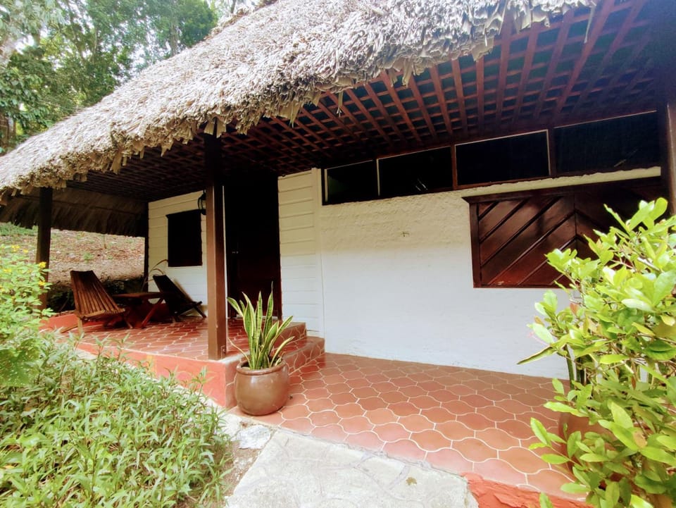 Maya Mountain Lodge Lodge in Cayo District