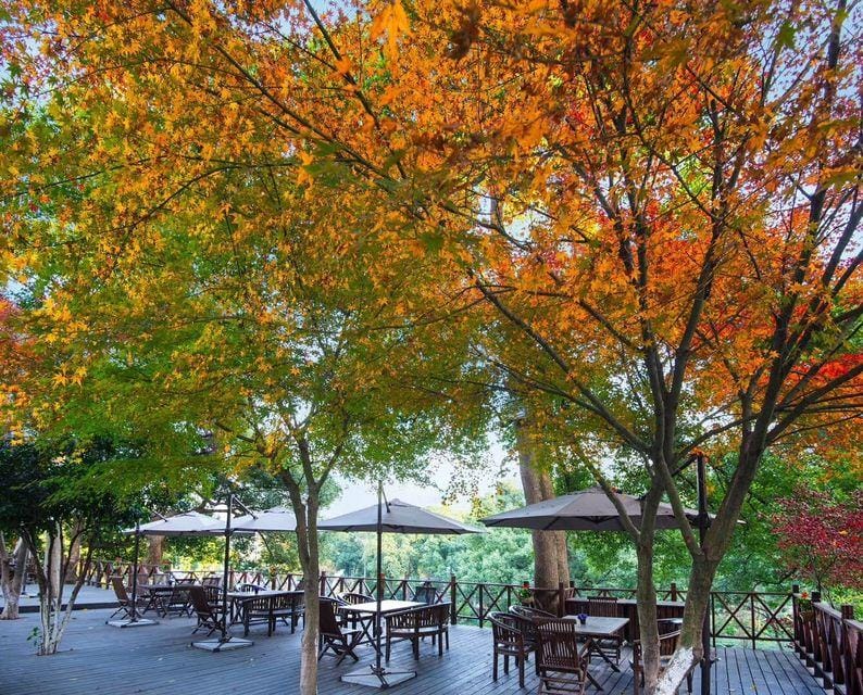 GINLAN JIA Resort Longjing Hangzhou Hotel in Hangzhou