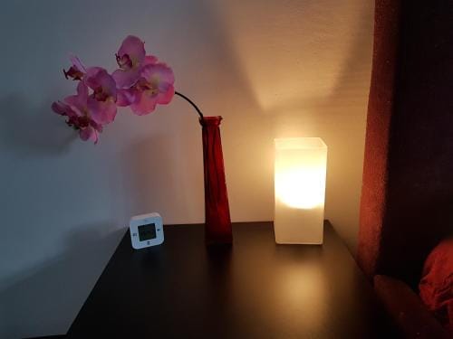 Sunny Guesthouse Hotel in Amsterdam