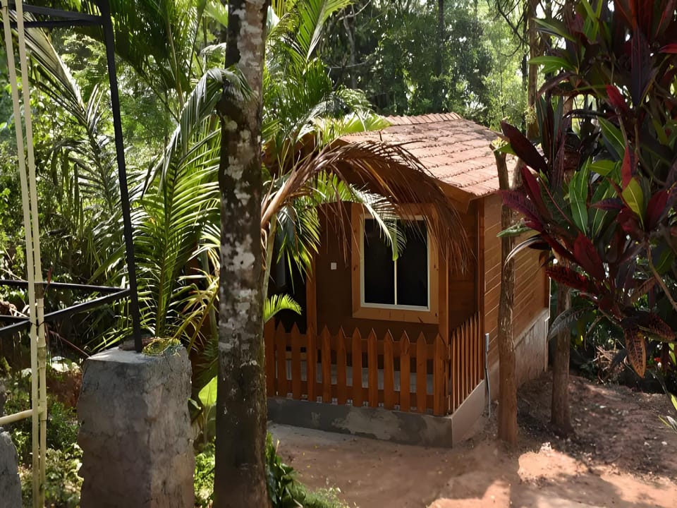 Young Island Coorg Resort in Kerala