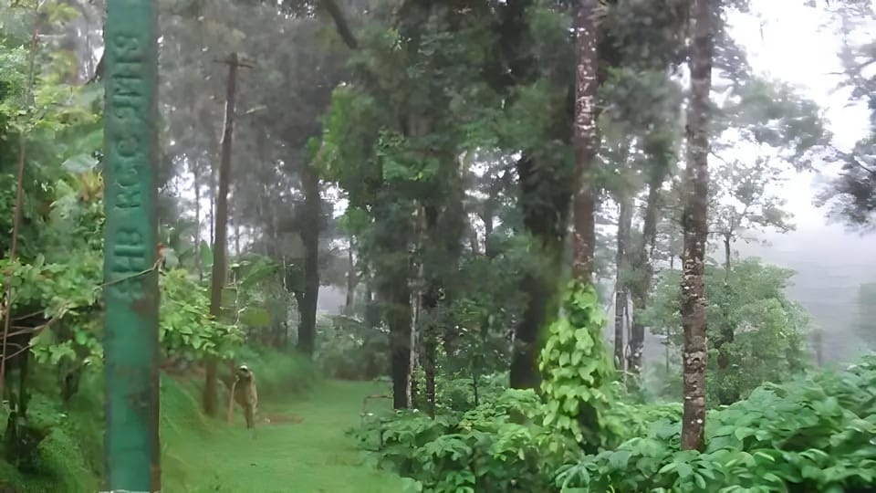Young Island Coorg Resort in Kerala