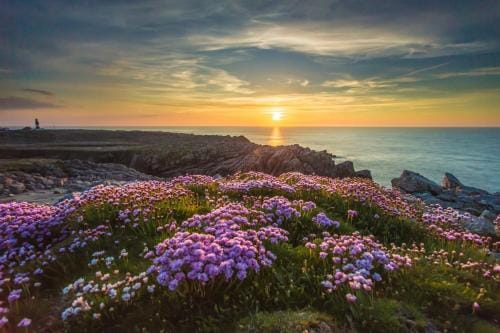 Ostan Oilean Thorai Tory Island Hotel Hotel in County Donegal