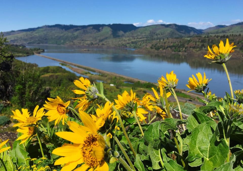 The Dalles Inn Hotel in The Dalles