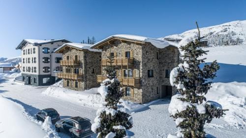 HERBERT - Boutique Apartments inkl Lungau Card Hotel in Carinthia, Austria