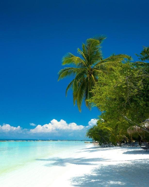 La Isla Bonita Hotel in Maldives