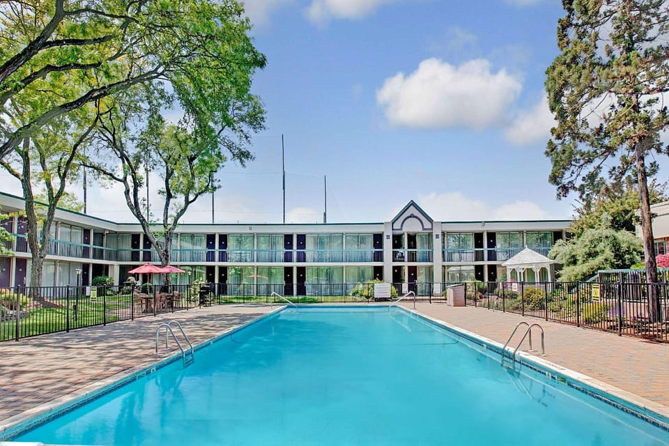 Swimming pool [outdoor]