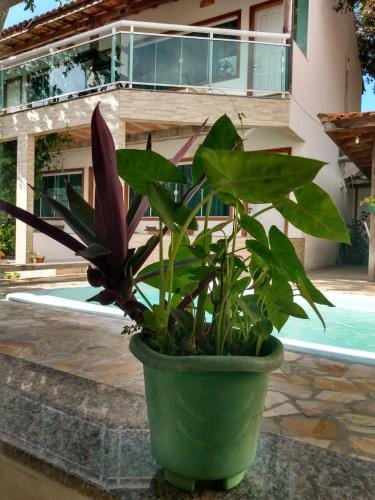 MARESIA Porto da Barra Hotel in Armacao dos Buzios