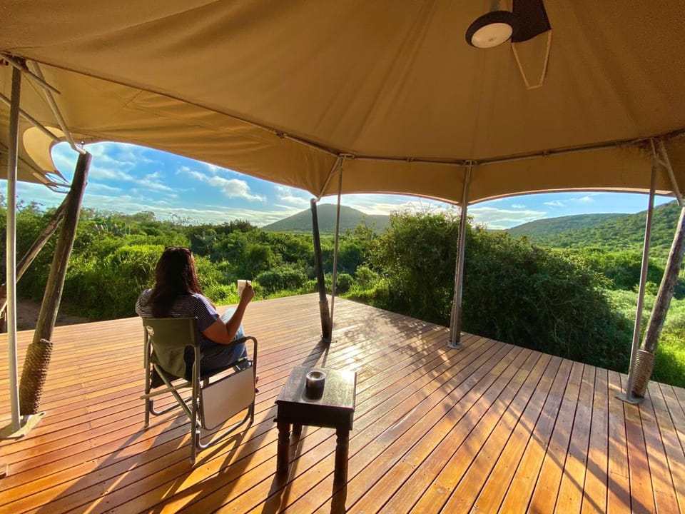 Parkview Safari Lodge Lodge in Port Elizabeth