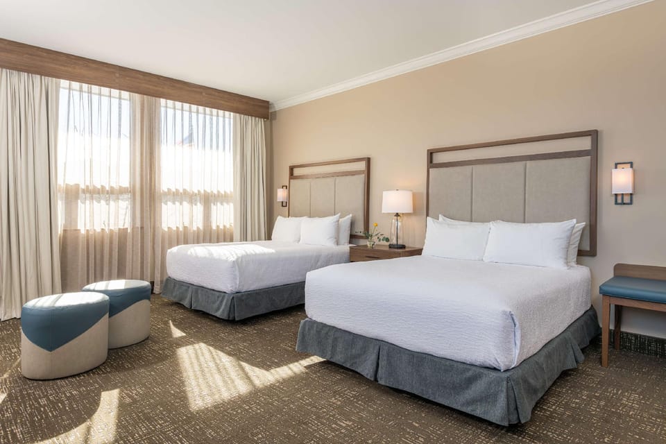 Suite room