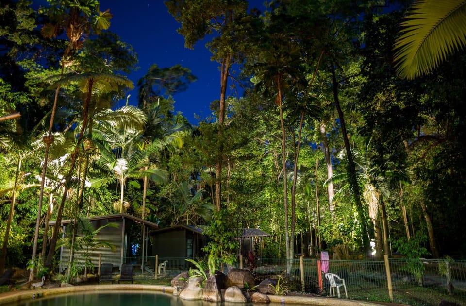 Safari Lodge Lodge in Cape Tribulation