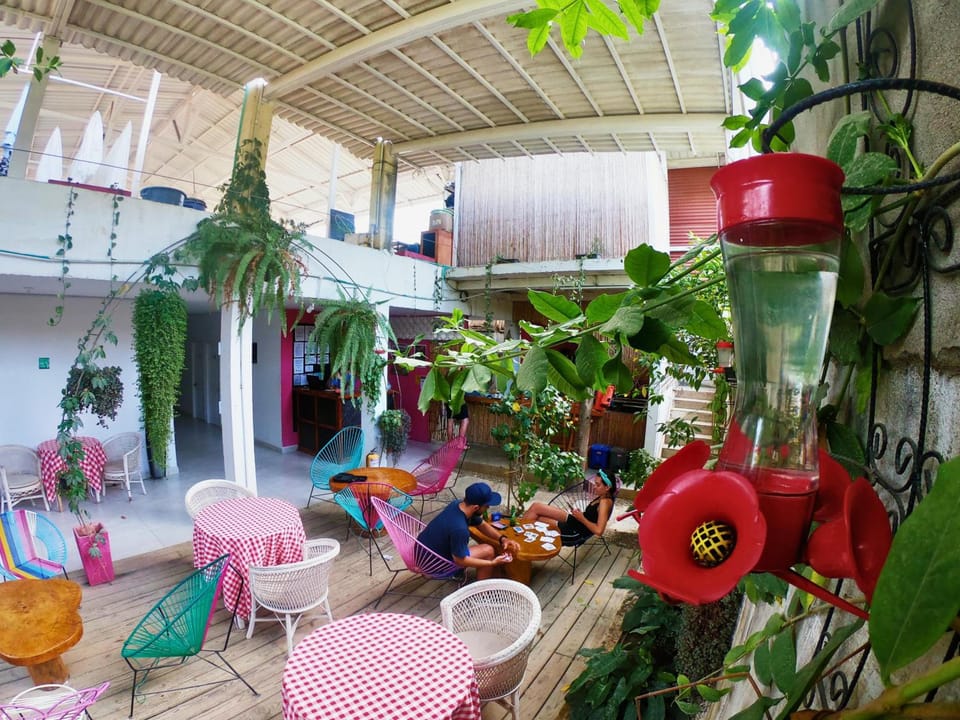 Casa Colibri Palomino Hotel in Magdalena, Colombia