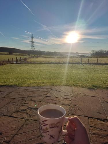 Thistle Pod Farm Stay with Hottub Sleeps 2 Lodge in England