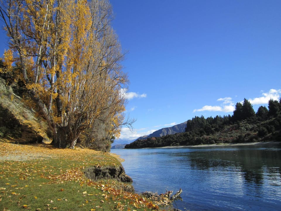 Lake Wanaka Lodge Inn in Wanaka