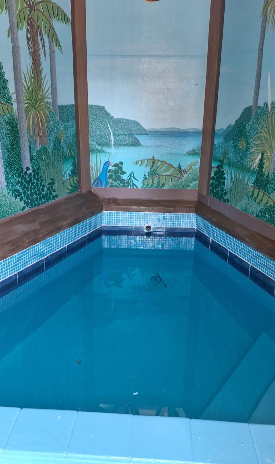 Hot spring bath