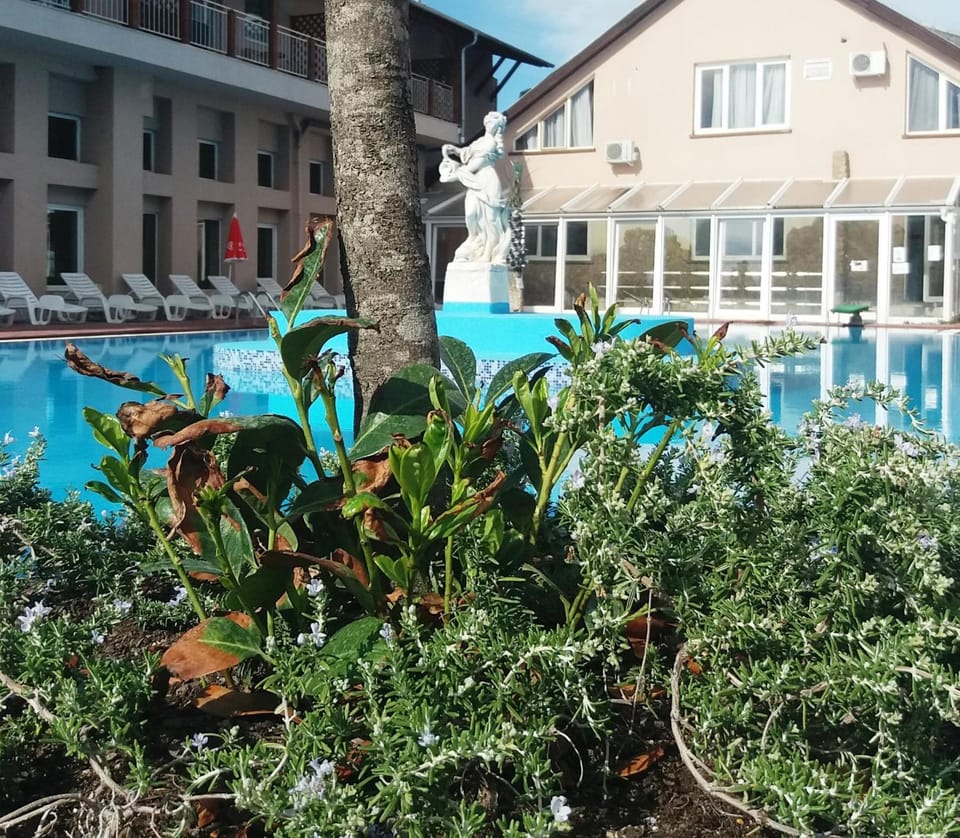 Oazis Wellness Panzio Hotel in Budapest