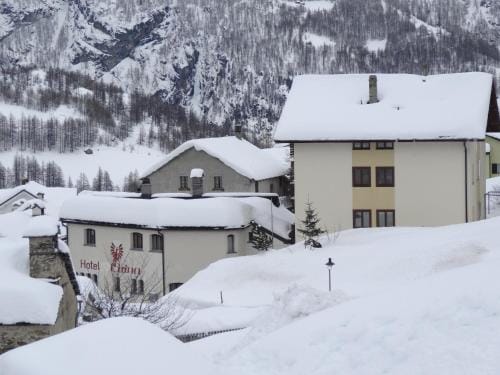 Hotel-Restaurant Grina Hotel in Canton of Valais