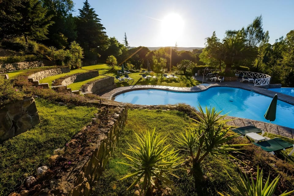 Swimming pool [outdoor]