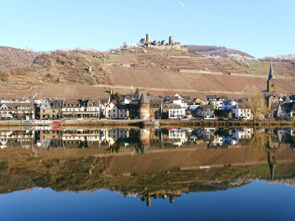 DORMERO Moselhotel Koblenz-Alken Hotel in Rhein-Hunsrück-Kreis