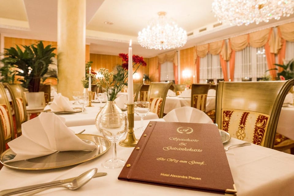 Hotel Alexandra Hotel in Plauen