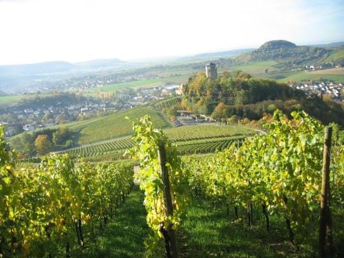 Gasthof Lamm Inn in Baden-Württemberg