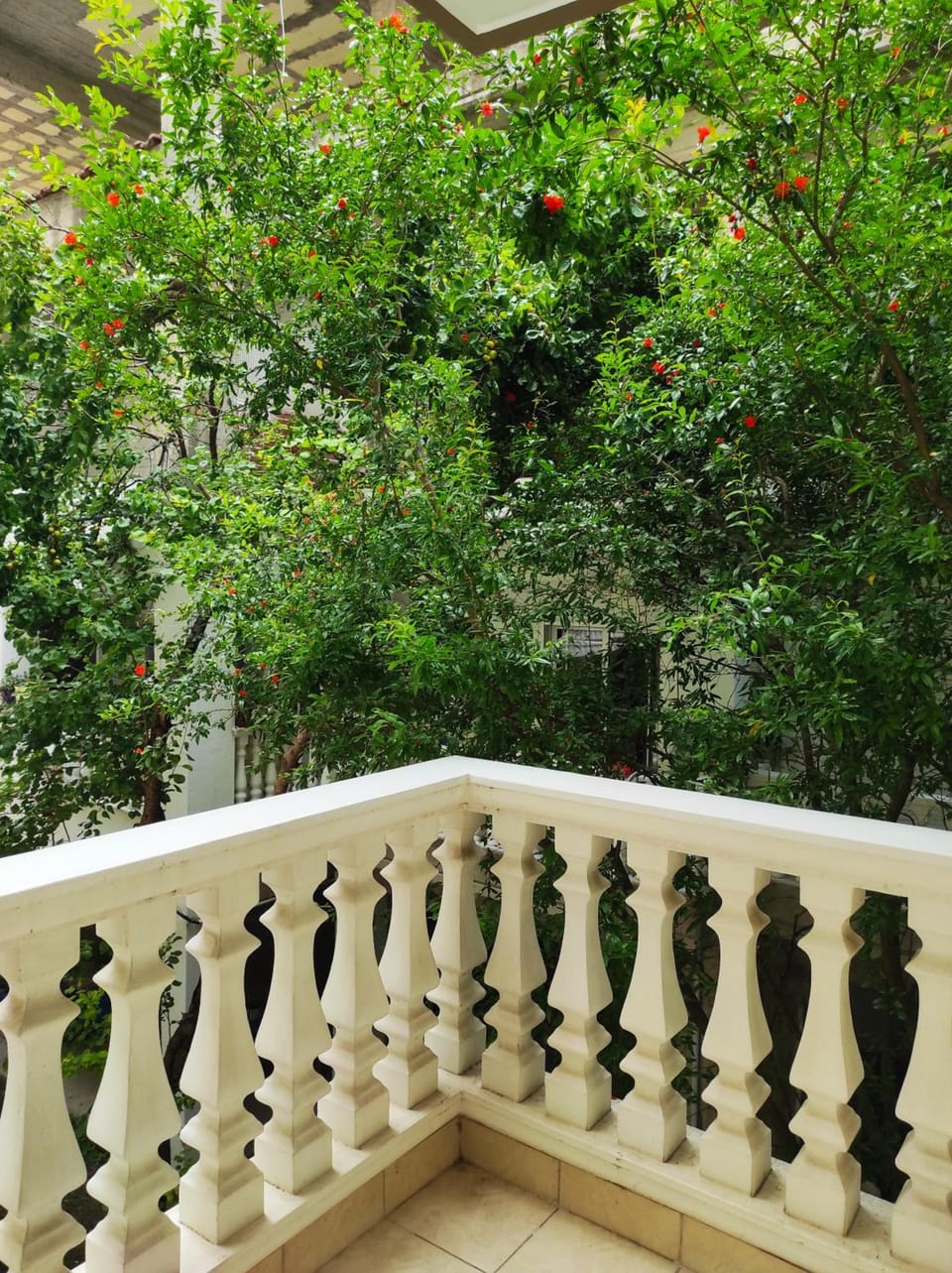 Rg Status Hotel Hotel in Pieria, Greece