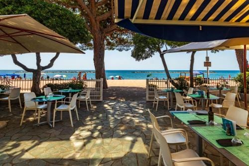 Piccolo hotel le Palme Hotel in San Bartolomeo al Mare