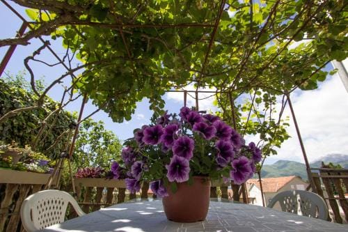 St. Roko Guest House Hotel in Kotor Municipality