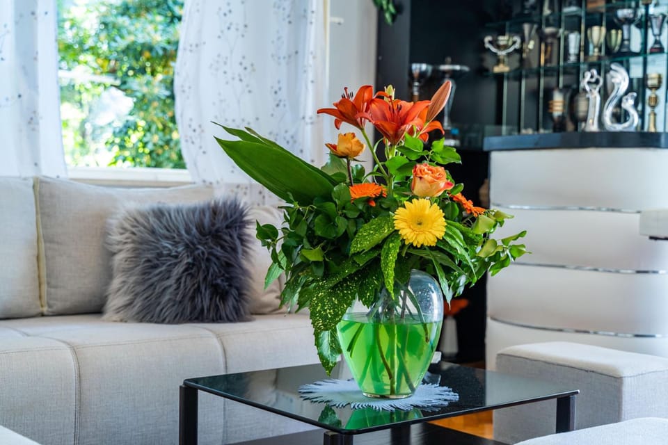 Apartments & Rooms Mara & Petrunjela Hotel in Cavtat