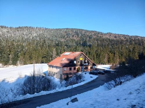 Domaine Des Hauts Viaux Hotel in Xonrupt-Longemer