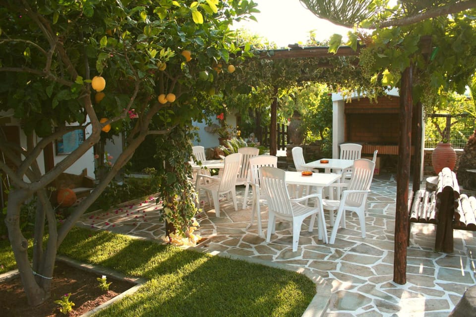 Dimitra Studios Hotel in Naxos, Naxos and Lesser Cyclades, Greece