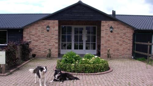De Turfstaeker Hotel in Limburg (province)