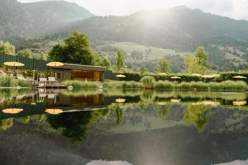 Hotel Alpina - Thermenhotels Gastein Hotel in Bad Hofgastein