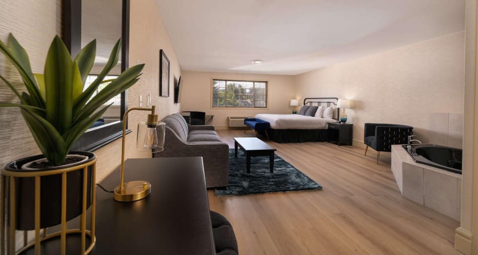 Suite room