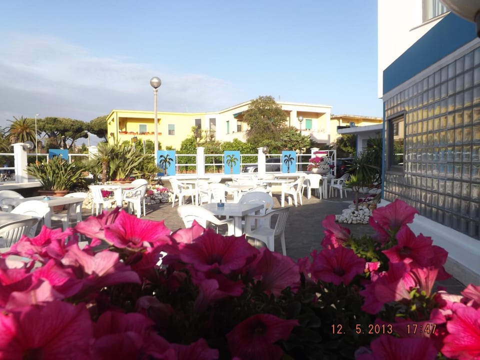 Hotel Le Palme Hotel in Sabaudia