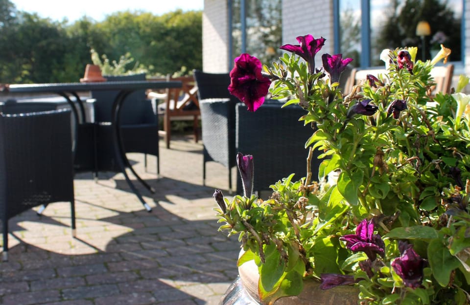 Hotel Medio Fredericia Motel in Middelfart