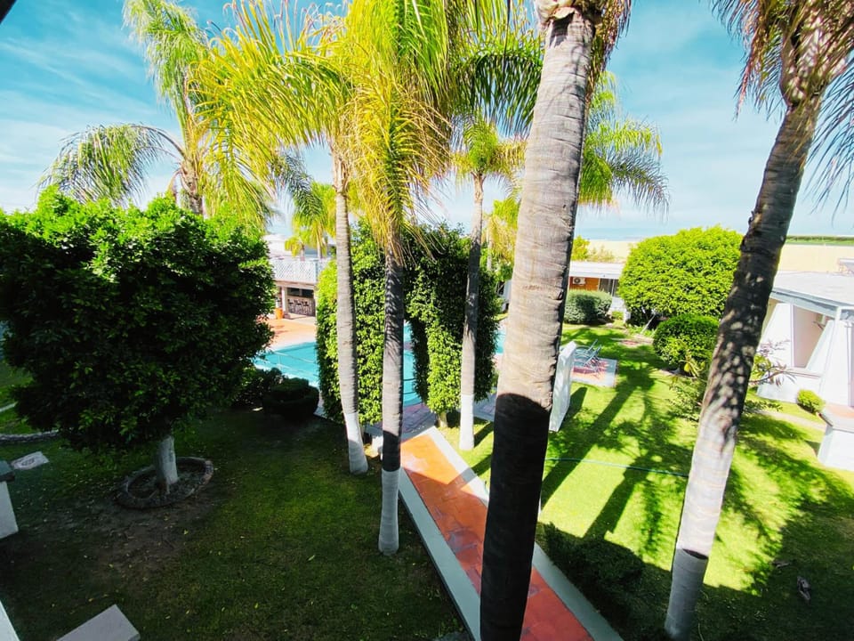 View