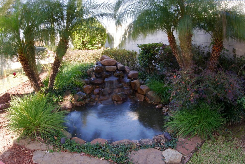 Surrounding environment