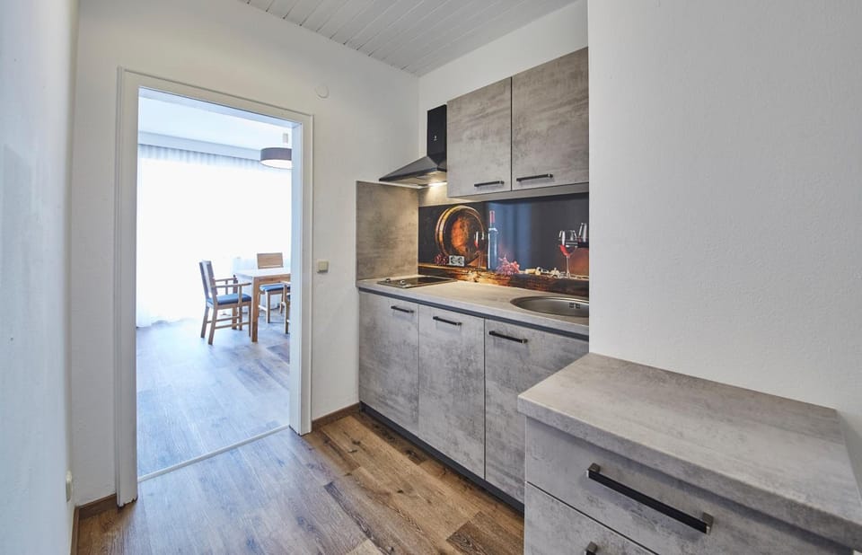 Appartements Haus Alexander Hotel in Salzburgerland