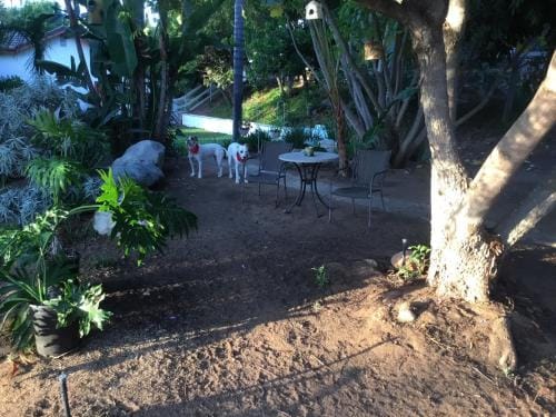 Beautiful new detached casita nestled in scenic southern CA foothills! Hotel in Fallbrook