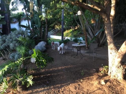 Beautiful new detached casita nestled in scenic southern CA foothills! Hotel in Fallbrook