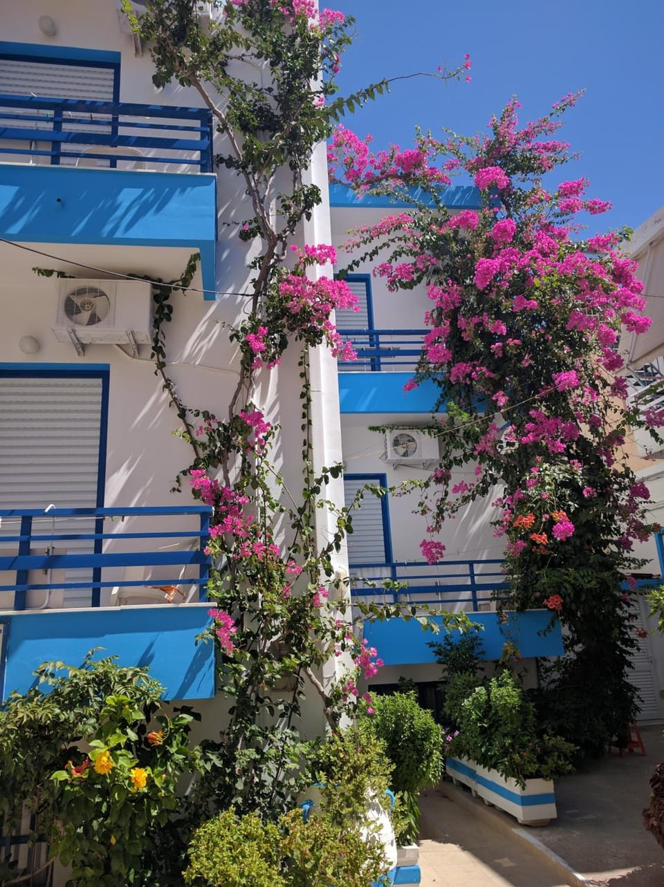 Blue Sky Hotel in Palaiochora