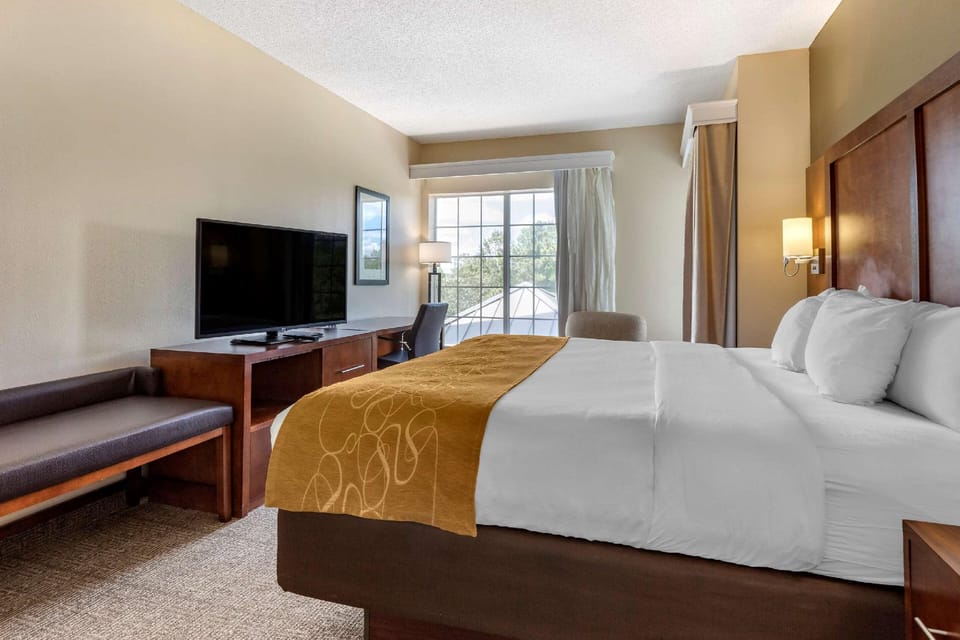 Suite room