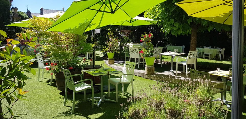 Hotel Le Lion d'Or Hotel in Auvergne-Rhône-Alpes