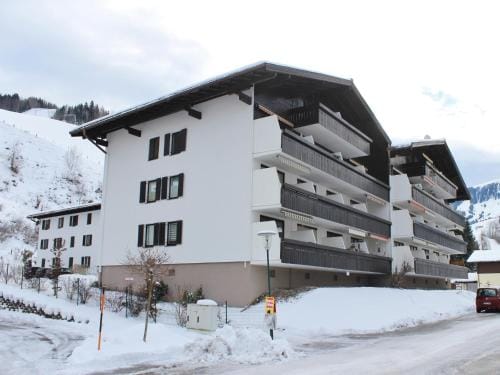 Apartment Maria Alm near Hochkonig Ski Slopes Hotel in Maria Alm