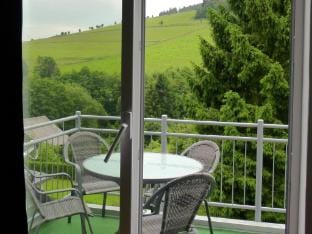 Wohnung in Willingen nahe Ettelsberg-Bahn Hotel in Willingen